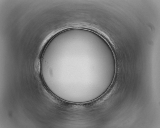 X0000112821509200908210949