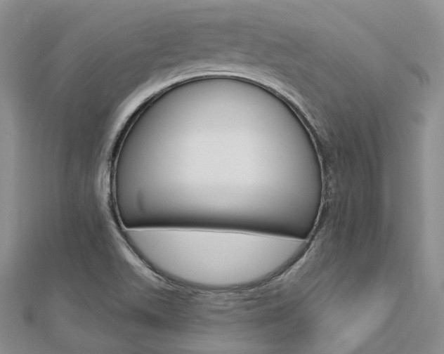X0000112821511200908210949