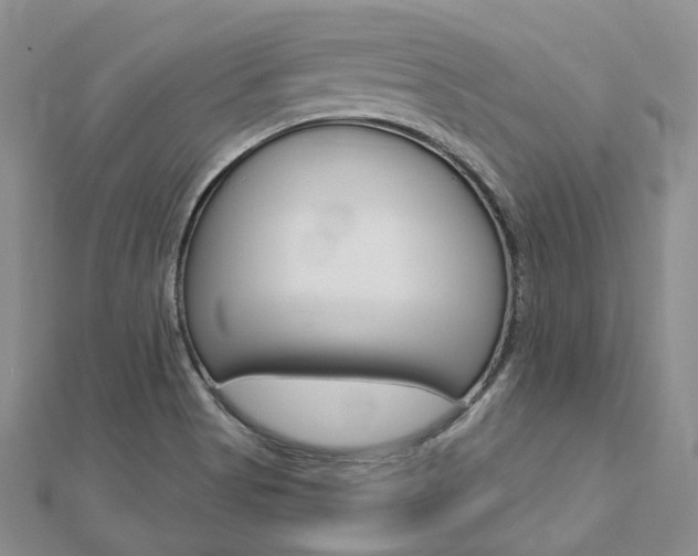 X0000112821513200908210949