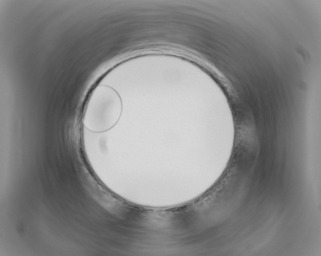 X0000112821514200908210949