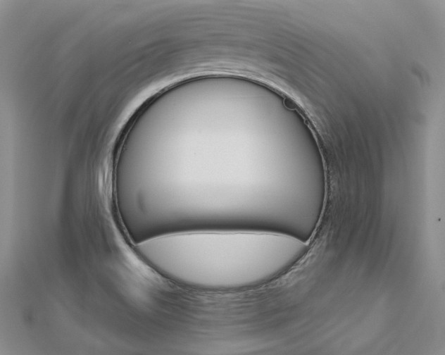 X0000112821515200908210949