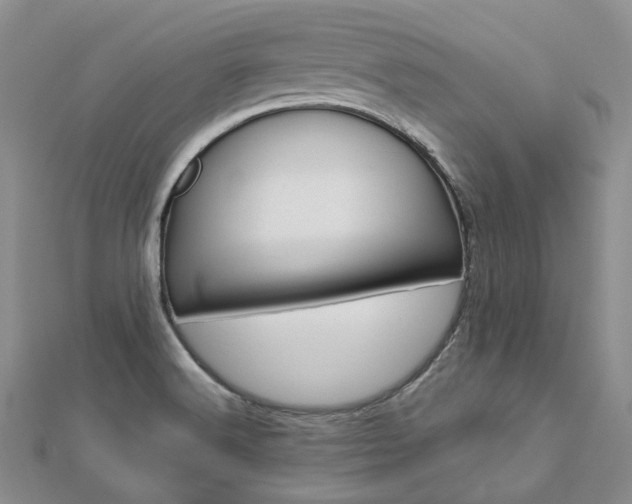X0000112821516200908210949