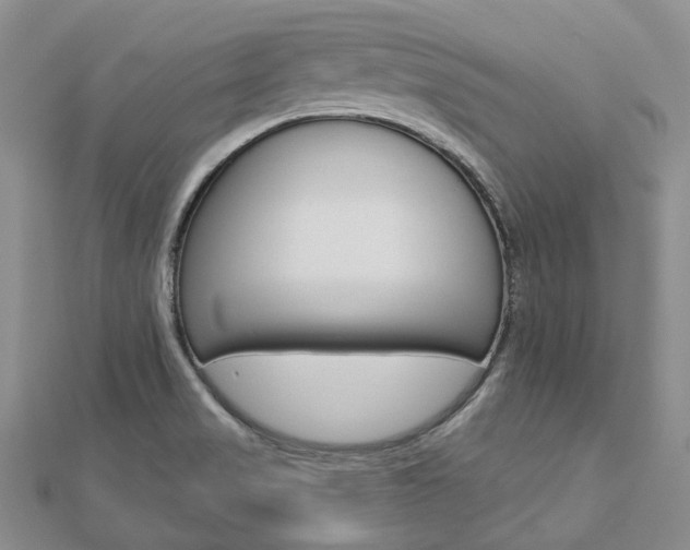 X0000112821517200908210949