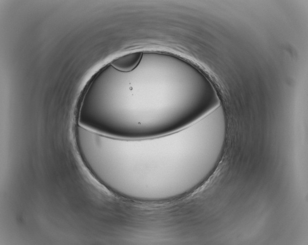 X0000112821518200908210949