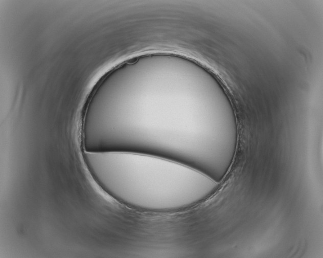 X0000112821519200908210949