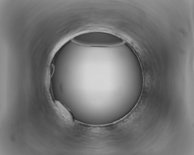 X0000112821520200908210949