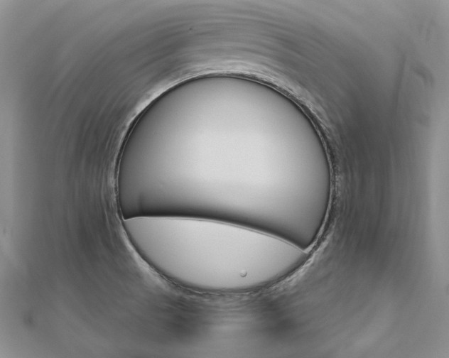 X0000112821521200908210949