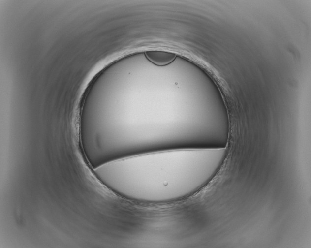 X0000112821522200908210949