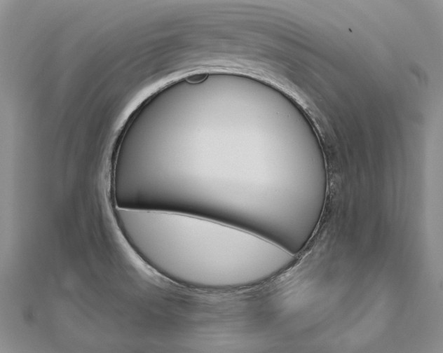 X0000112821523200908210949