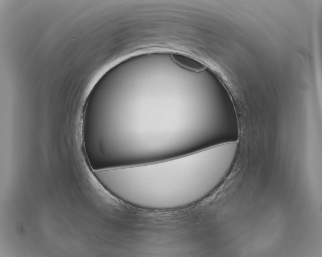 X0000112821524200908210949