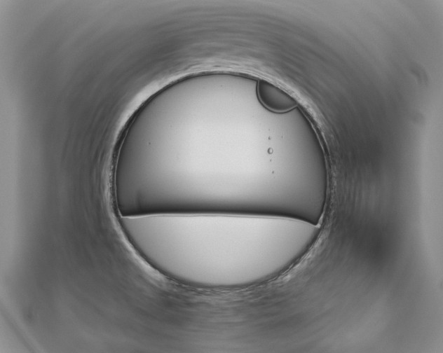X0000112821525200908210949
