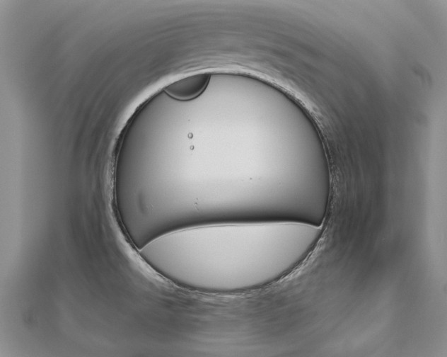 X0000112821526200908210949