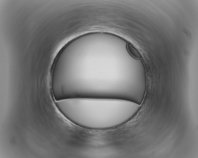 X0000112821527200908210949