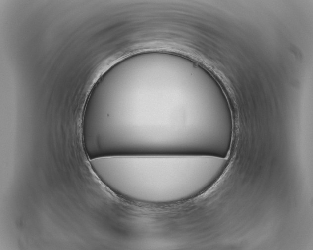 X0000112821529200908210949