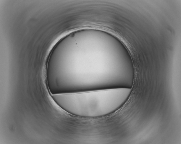 X0000112821531200908210949