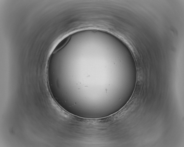 X0000112821532200908210949