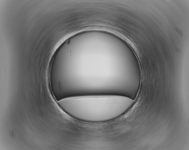 X0000112821533200908210949