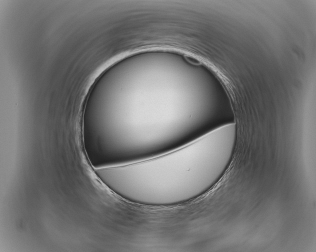 X0000112821534200908210949
