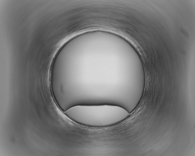 X0000112821535200908210949
