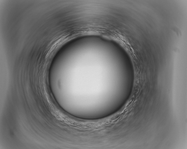 X0000112820001200908211216