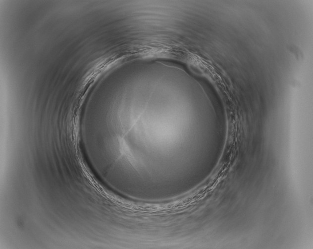 X0000112820002200908211216