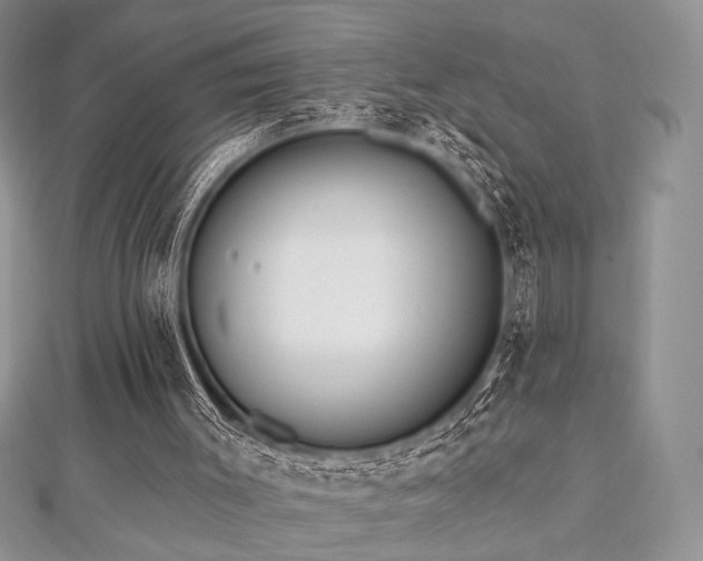 X0000112820003200908211215