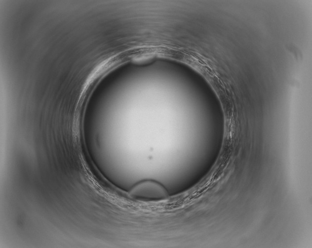 X0000112820004200908211215