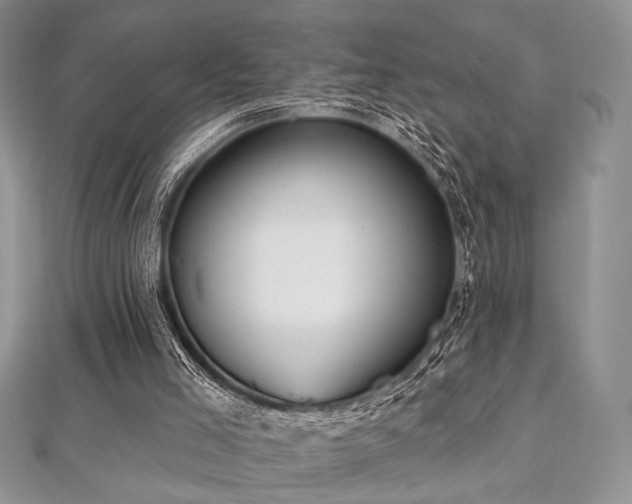X0000112820005200908211215
