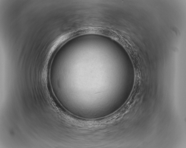 X0000112820006200908211215