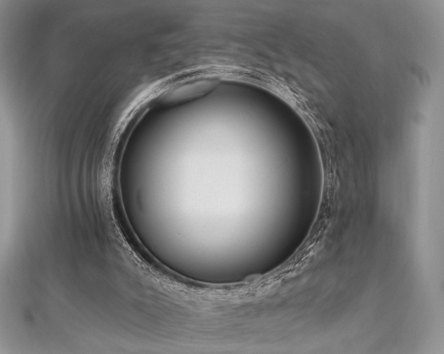 X0000112820007200908211215