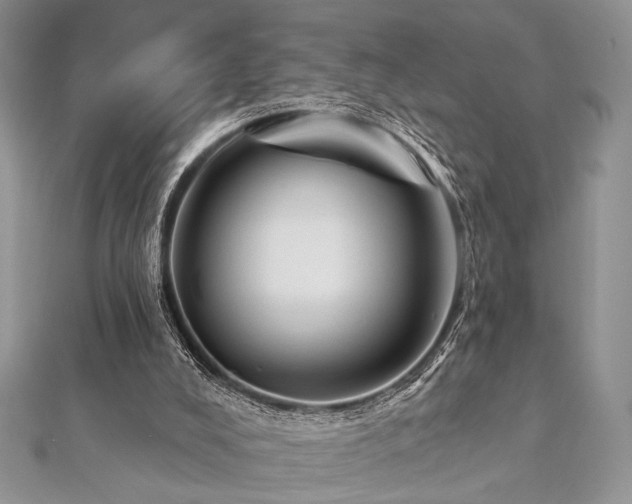 X0000112820008200908211215