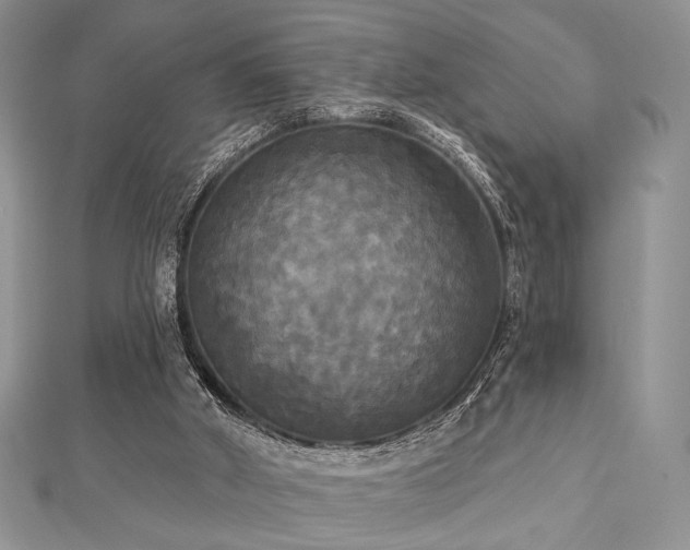 X0000112820010200908211215