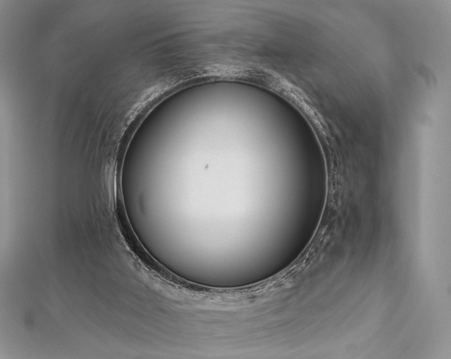 X0000112820011200908211215