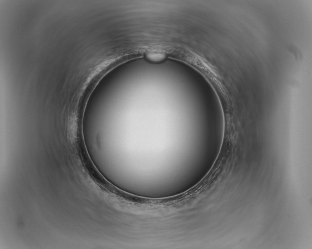 X0000112820012200908211215
