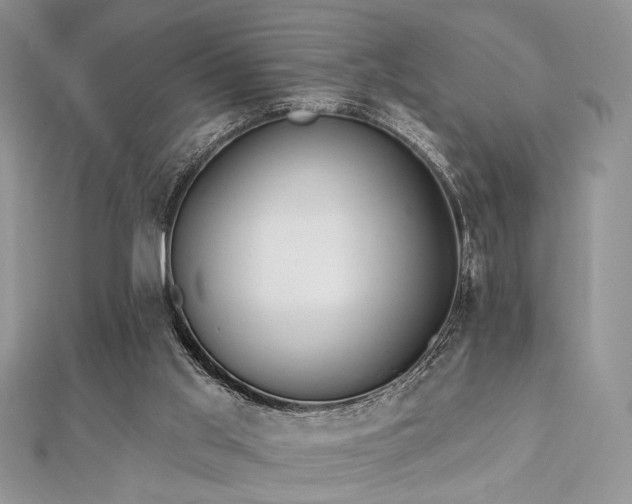 X0000112820013200908211215