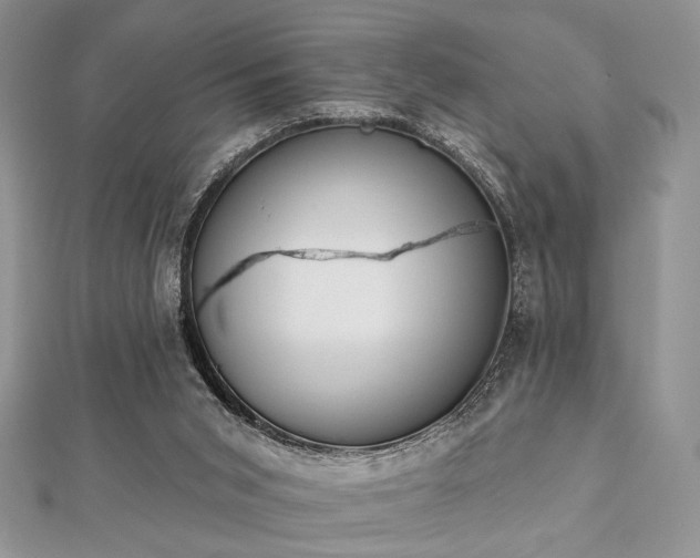 X0000112820015200908211215
