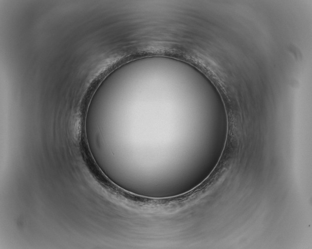 X0000112820016200908211215