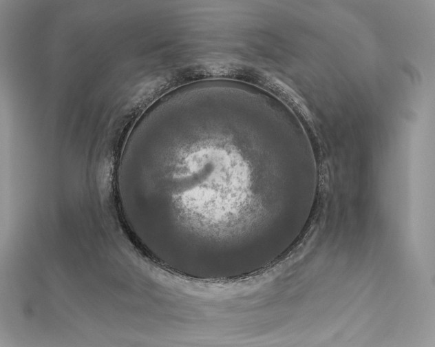 X0000112820018200908211215