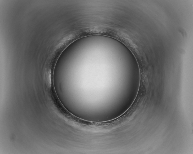 X0000112820020200908211215