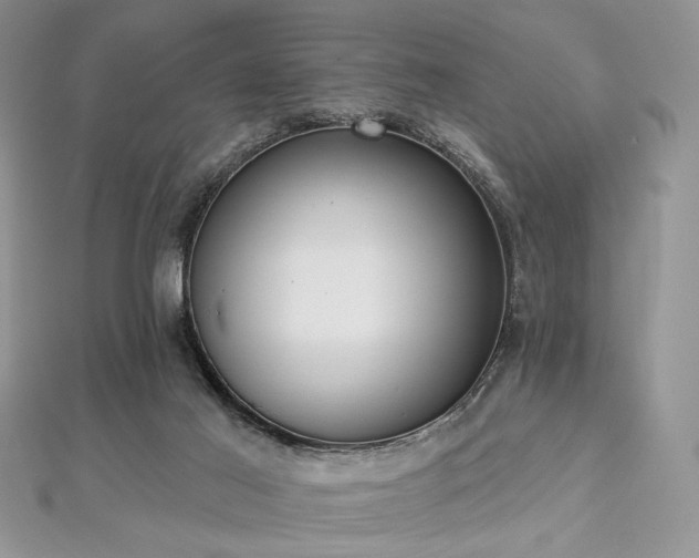 X0000112820021200908211215