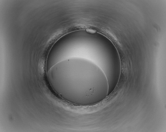 X0000112820023200908211215