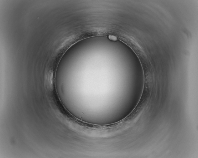 X0000112820024200908211215