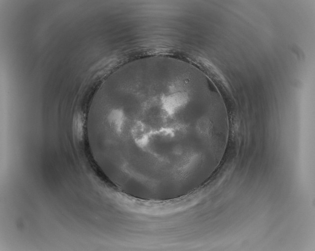 X0000112820026200908211215