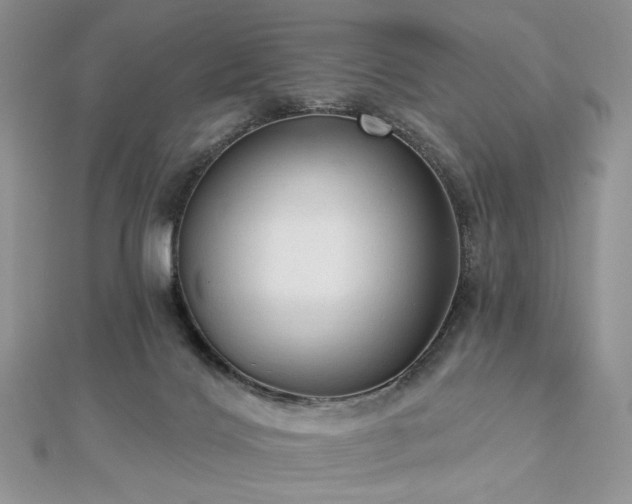 X0000112820028200908211215