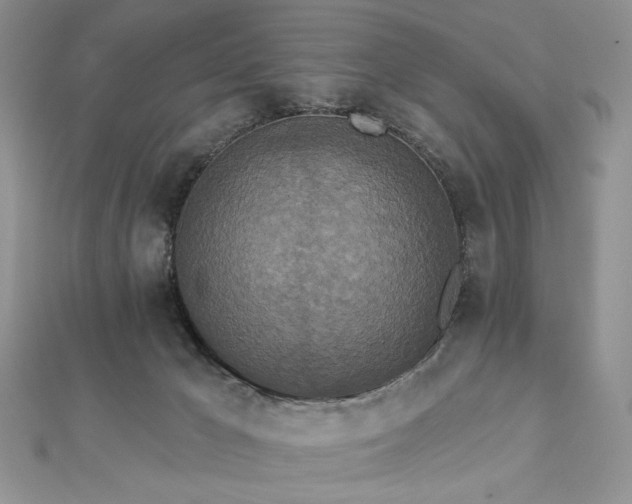 X0000112820029200908211215