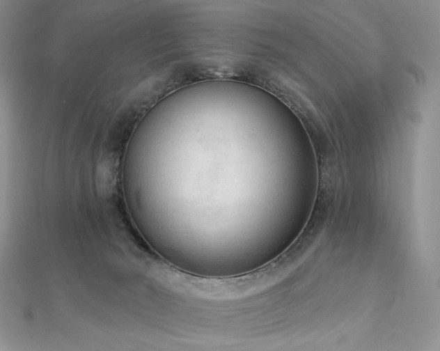 X0000112820030200908211215