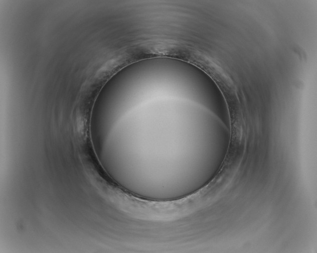 X0000112820031200908211215