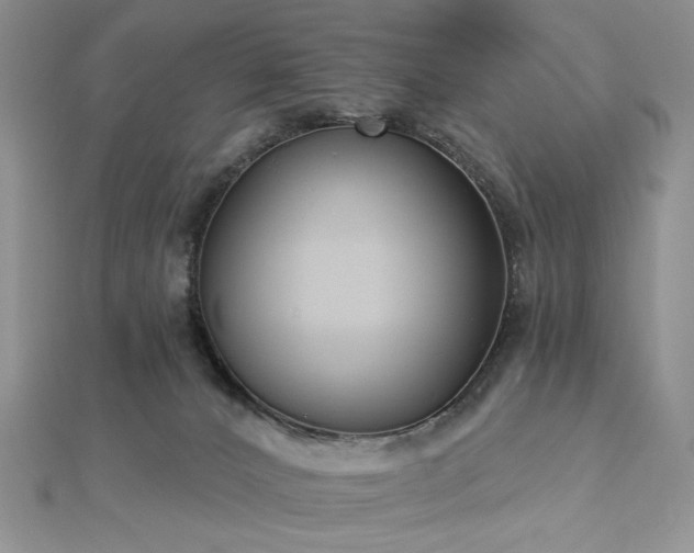 X0000112820032200908211215