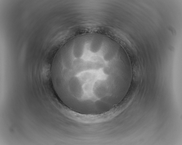 X0000112820034200908211215