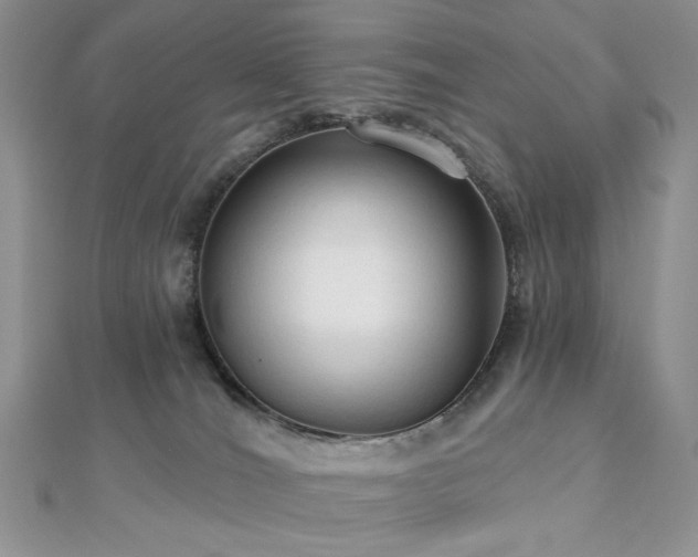 X0000112820036200908211215